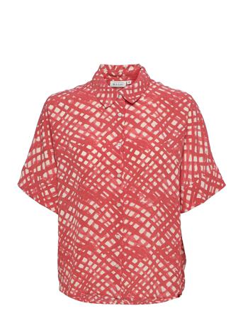 Iasna Pink Masai