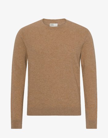 Light Merino Wool Crew - Sahara Camel - XS