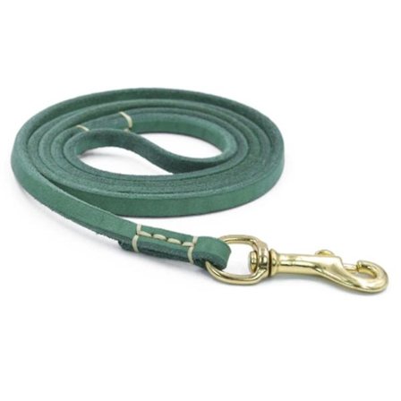 2023 Leather Dog Leash - Best For Training