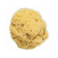 Spugna Naturale Fori Larghi 8/9cm 1 Pezzo