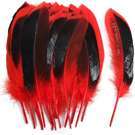 100 st Röda Andfjädrar 4-6 tum 10-15 cm Bulk Naturfjädrar Hantverk Karneval Fest Kläder Hatt Tillbehör Dekorationer