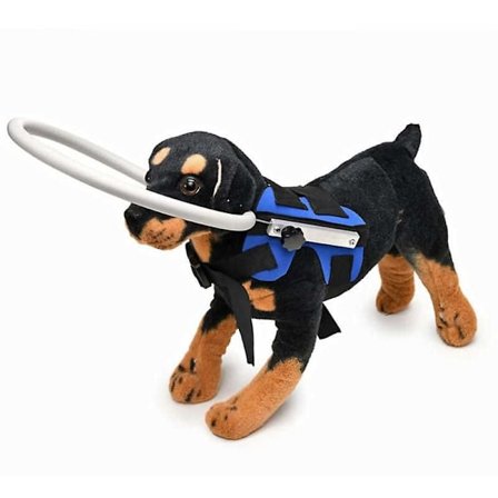 Sokean koiran valjaiden ohjauslaite, lemmikin törmäyssuojarengas suojaa ja itseluottamusta varten, BLUES Sokean koiran tarvikkeet