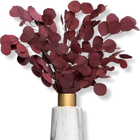 Eukalyptus kuivakukkina YKSI katseenvangitsija kuivakukkia