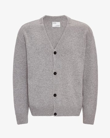 Merino Wool V-Neck Cardigan - Heather Grey - Male - M
