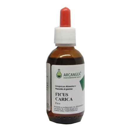 Arcangea Ficus Carica Bio 33 Gradi Gemmoderivato 100ml