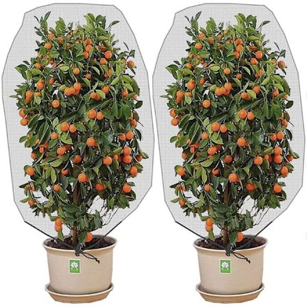 2 verkkoa kiristysnyörillä - 3,2x4,9 jalkaa - hirsi