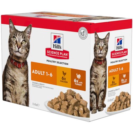 Hills Science Plan - Adult Chicken Turkey Pouch - Wet Cat Food 48 x 85 g - Katt - Kattefôr & kattemat - Våtfôr og våtmat - ZOO.no