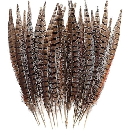 Naturlige fasanhalefjær Lang fasanfjær Dekor Diy Karnevalstilbehør