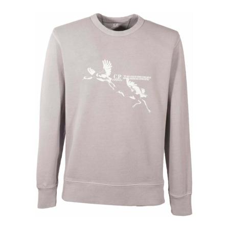C.p. Company Sweatshirt Grå, Herre Sweatshirts, Størrelse: XL