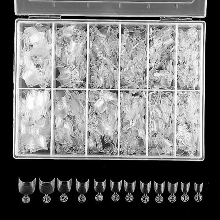 600 st korta nagelspetsar korta ovala halvöverdrag falska nagelspetsar 12 storlekar falska nagelspetsar med låda