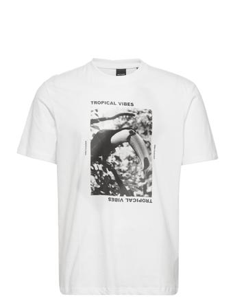Onsgilbert Reg Ss Tee T-shirts Short-sleeved Hvit ONLY & SONS