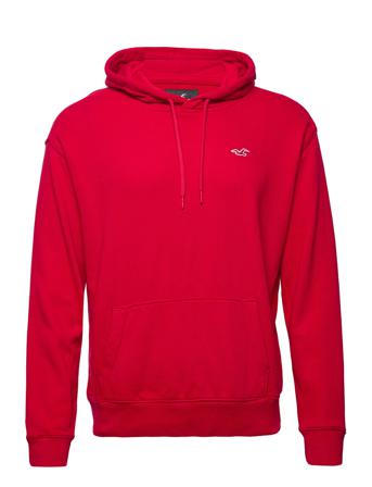 Hco. Guys Sweatshirts Red Hollister