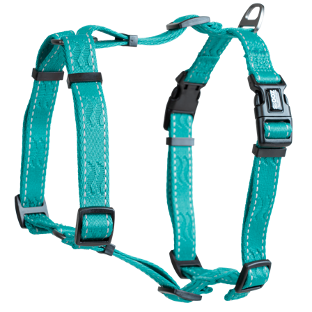 Selected by ZOO - Sele Rufus H-sele justerbar L/XL 25 mm x 100 cm Turkis - Hund - Halsbånd - ZOO.no