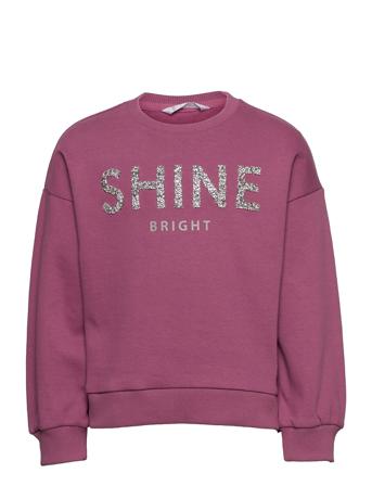 Joia Pink Mango