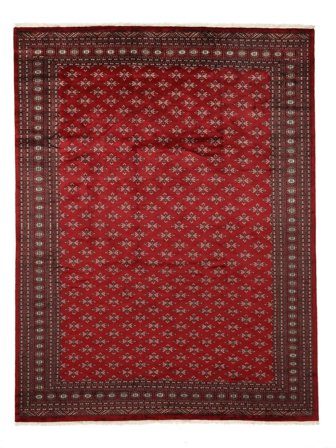 Duży Pakistański Bucharski 3Ply Dywan 281X368 Wełna