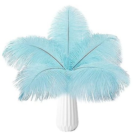 10 st strutsfjädrar naturlig bulk