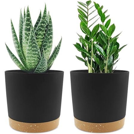 Sæt med 2 Plantepotter 16,5 cm, Indendørs Plantepotter med Drænhuller