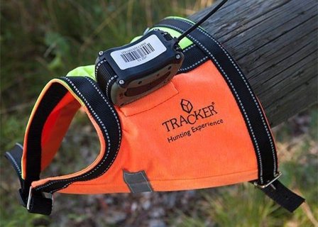 Tracker /Pointer dog harness