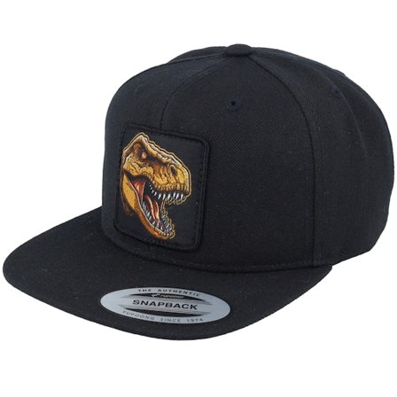 Kinder Kiddo Cap - Schwarz snapback Cap - Kinder Dinosaur T-rex Bite Black Snapback @ Hatstore