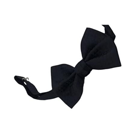 Emporio Armani Bowties , Blauw , Heren , Maat: ONE Size Accessoires