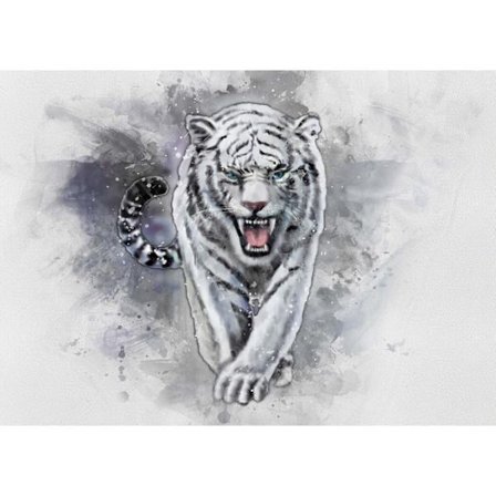 A3 Print - White Tiger - Vit tiger