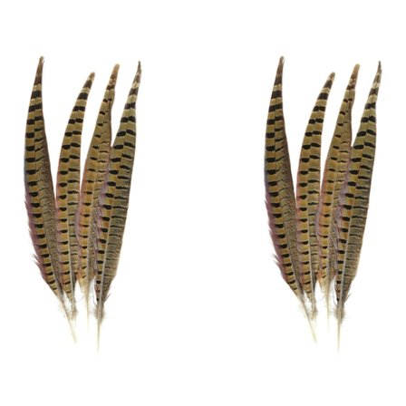 Touch Of Nature Ringnekkfasanfjær 8 stk, Naturlig