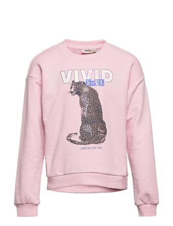 Komfancy L/S Leo Box Ub Swt Sweat-shirt Genser Rosa Kids Only