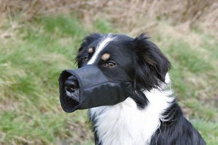 Trixie -säädettävä kuonokoppa, XS/S: 16 cm