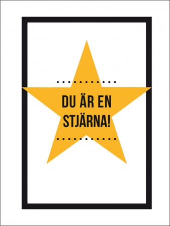 Du är en stjärna! - Bok - Inbunden