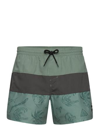 Mix & Match Cali Block 15'' Swim Shorts Green O'neill