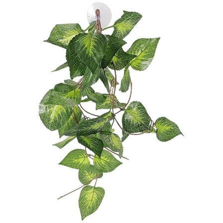 Terraario Kasvi Terraario Tekokasvi Koriste Elävä Kasvi Koriste Terraario Sisustus