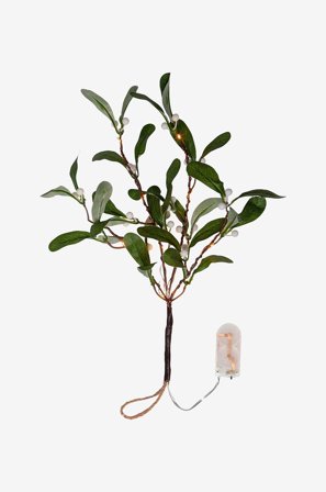 Star Trading - Haara Mistel - Vihreä - Joulun koristevalot - - Homeroom