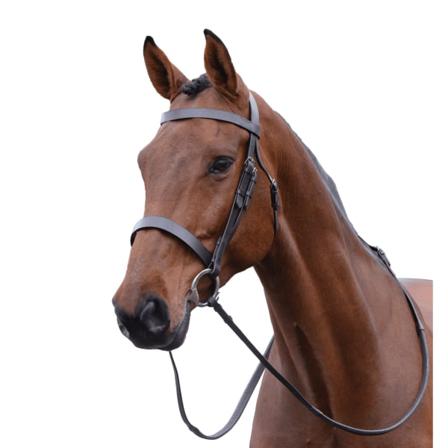 Kincade Hunt Läder Cavesson Träns Ii Cob Brown