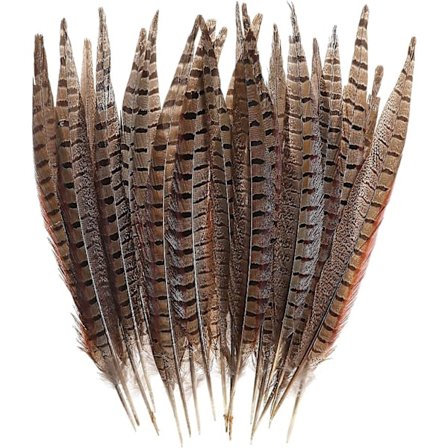 20 stk. Naturlige Fasanfjær - Fasan Hale 12-14 tommer (30-35 cm) For DIY Dekorasjon (fasan hale)