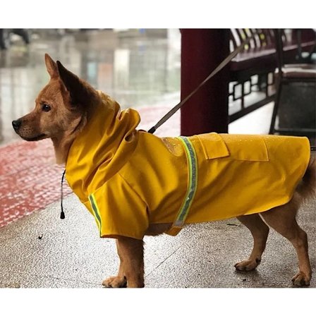 Regnjakke til hunde pink blå med refleks justerbar i flere størrelser