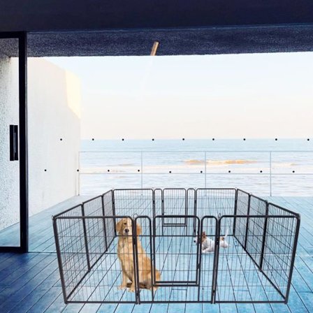 Puppy Run - UISEBRT - 65x80cm - Hopfällbara lekhagar för hundar, katter, kaniner - Järnrör