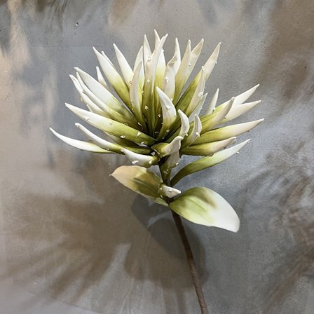 EVA Aloe Vera Konstgjord Blomma Heminredning Bröllopsrekvisita Stor Skumblomma