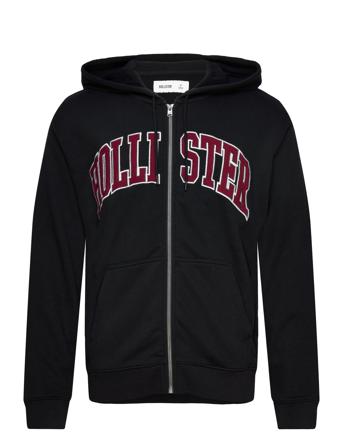 Hco. Guys Sweatshirts Black Hollister