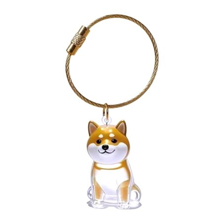 Nyckelring för husdjursminne, hundhårslåda för att bevara hundhår eller kremeringsaska