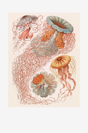 Malerifabrikken - Poster Tafel 8 - Beige - Posters - Fra Homeroom