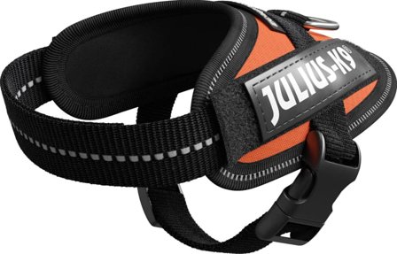 Julius-K9 Idc Harness UV Baby 1 Dog Harnesses & Dog Collars Orange Baby 1