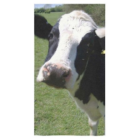 Sød Ko Badehåndklæde Brusehåndklæde Vaskeserviet Ansigtshåndklæder 40x70 Cm A--36783