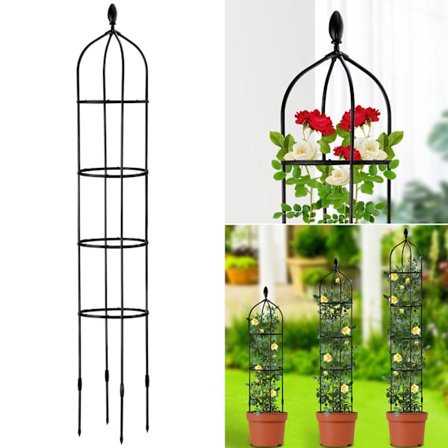 Klätterväxt fast ram ros blomma hållare inomhus blomma växt stöd stolpe