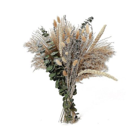 60 stk. Tørrede Blomster Pampas Dekorative Rørgræs Diy Blomster A