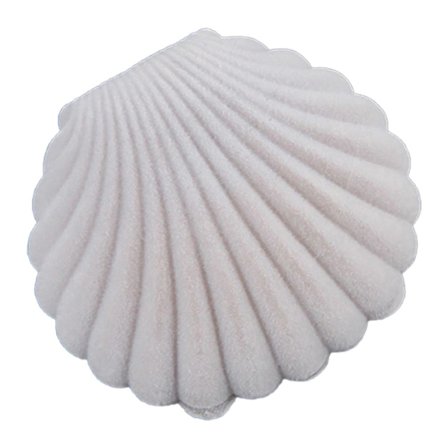 Sød Havskals Øreringe Ring Halskæde Display Opbevaring Organizer Gave Smykkeæske BoSaiD