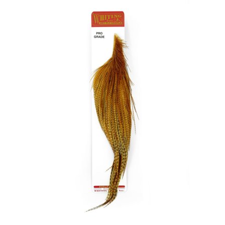 Whiting Pro Grade 1/2 Cape Barred Dark Ginger