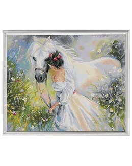 Diamond Dotz Drömlik