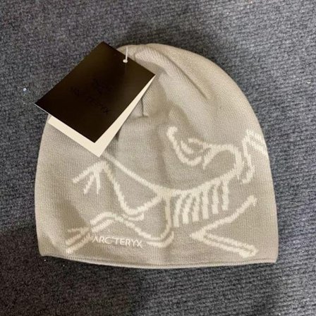 ARC'TERYX Herre Lue Casual Varm Vinter Skilue-AAA