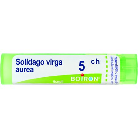 Boiron Solidago Virga Aurea Granuli 05Ch Tubo 4g