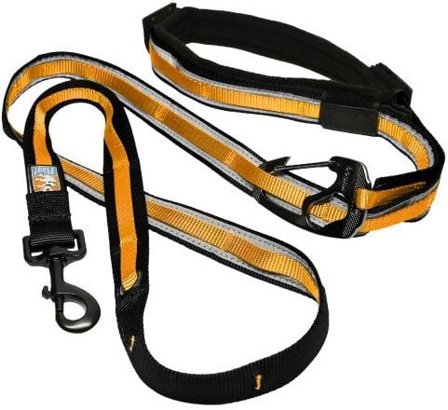 Kurgo Quantum Leash Reflect & Protect monitoimitalutin, kullankeltainen